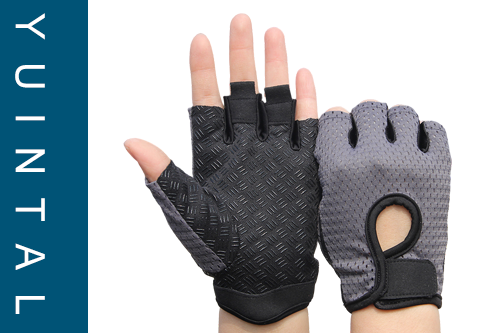 Basic Training Gloves for Gym Center Light Weight 